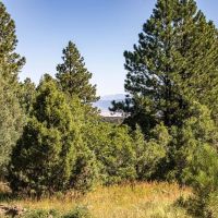 Ponderosa Lot 2 images 4