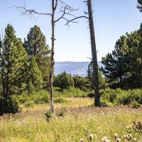 Ponderosa Lot 2 images 5
