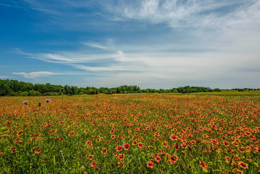 Milburn Ranch featured image