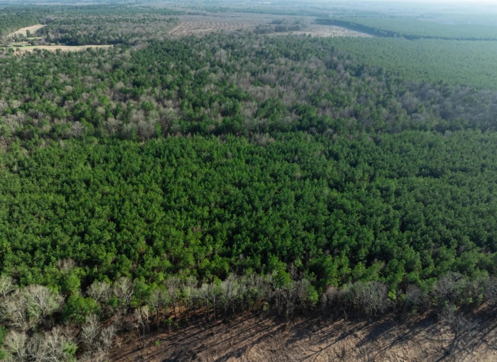 Hunting Recreational Land For Sale Clarksville TX featured image