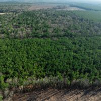 Hunting Recreational Land For Sale Clarksville TX