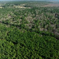 Hunting Recreational Land For Sale Clarksville TX images 2