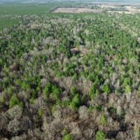 Hunting Recreational Land For Sale Clarksville TX images 3