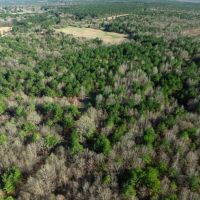 Hunting Recreational Land For Sale Clarksville TX images 4