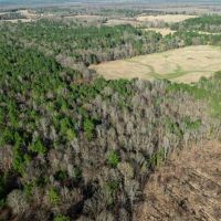 Hunting Recreational Land For Sale Clarksville TX images 5