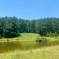 Secluded Log Cabin overloooking 5 ac Lake- 130 acres images 2