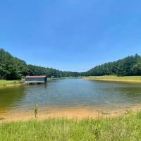 Secluded Log Cabin overloooking 5 ac Lake- 130 acres images 3
