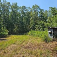 225 Acres in Holmes County MS images 3