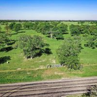 661 B FM 2550 Walker County TX images 5