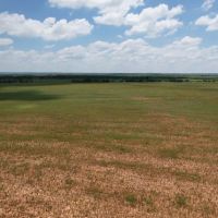 10 - Acres Taylor County Tract 4 images 3