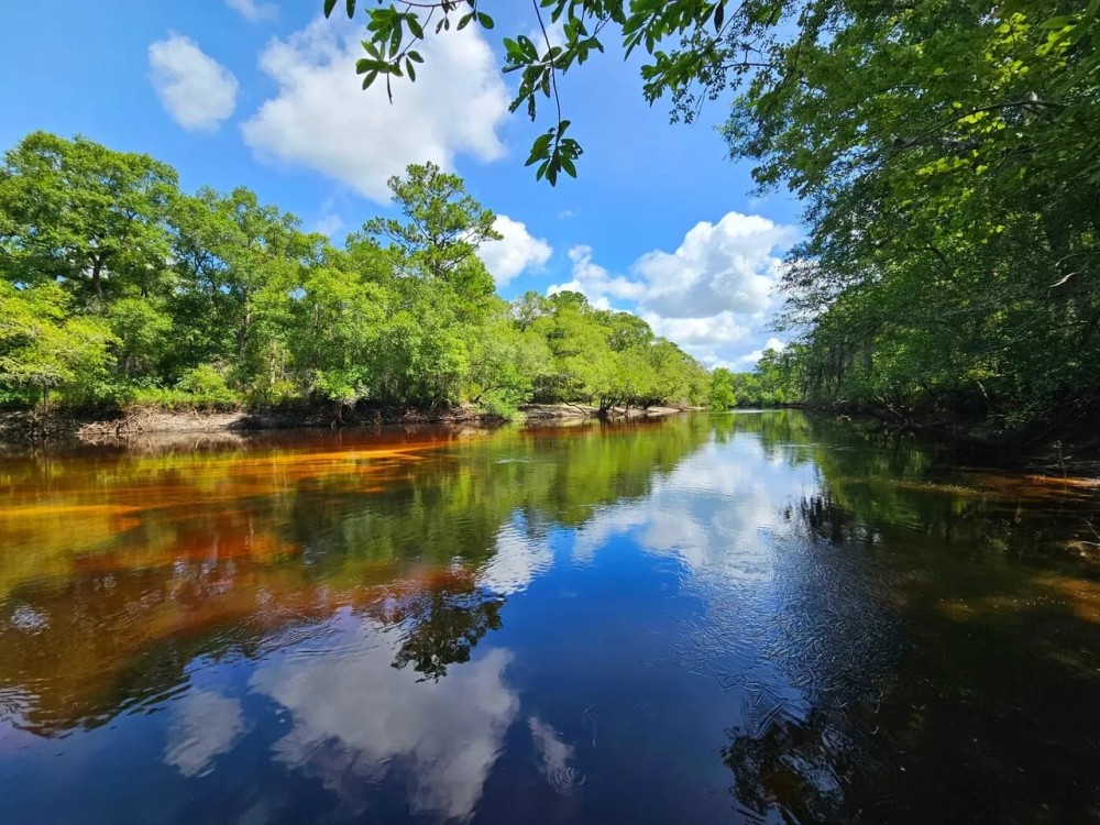 142.69 - Ac on Satilla River in Brantley County GA featured image