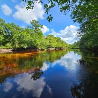 142.69 - Ac on Satilla River in Brantley County GA