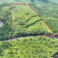 142.69 - Ac on Satilla River in Brantley County GA images 2