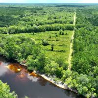 142.69 - Ac on Satilla River in Brantley County GA images 3