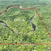 142.69 - Ac on Satilla River in Brantley County GA images 4
