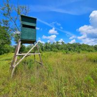 142.69 - Ac on Satilla River in Brantley County GA images 5