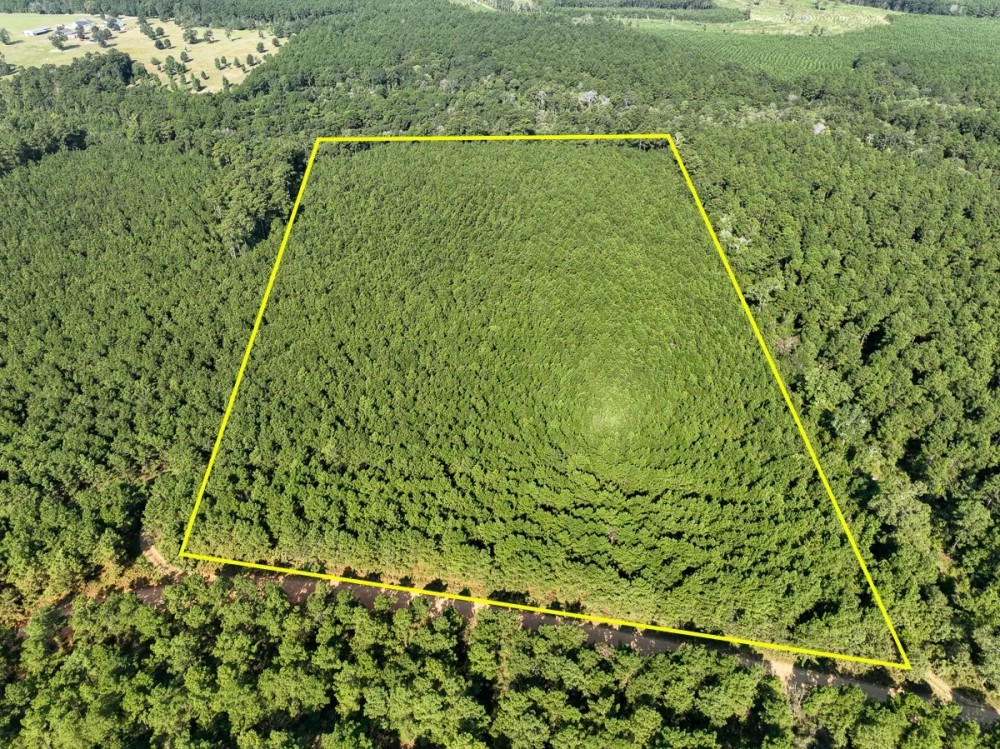 21 Acres Shady Grove Road CR 2175 featured image