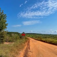 21 Acres Shady Grove Road CR 2175 images 4