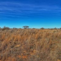 Wilbarger on the Red River images 2