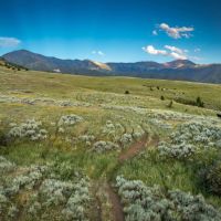 Bridger Foothills images 2