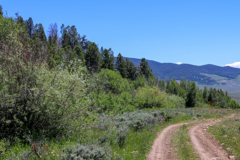 Quakey Mountain Ranch featured image