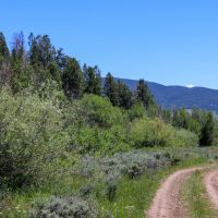 Quakey Mountain Ranch