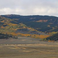 Quakey Mountain Ranch images 4
