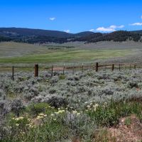 Quakey Mountain Ranch images 5