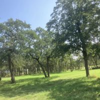 New Listing 24 - Acres Callahan County images 2