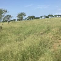 New Listing 24 - Acres Callahan County images 5