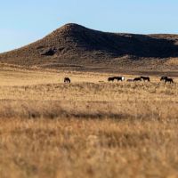Struck Creek Ranch images 5