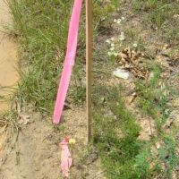 Surveyed 11.98 Acres Electric Available No Restrictions Paved Road Frontage Close to Jacks Fork River images 3