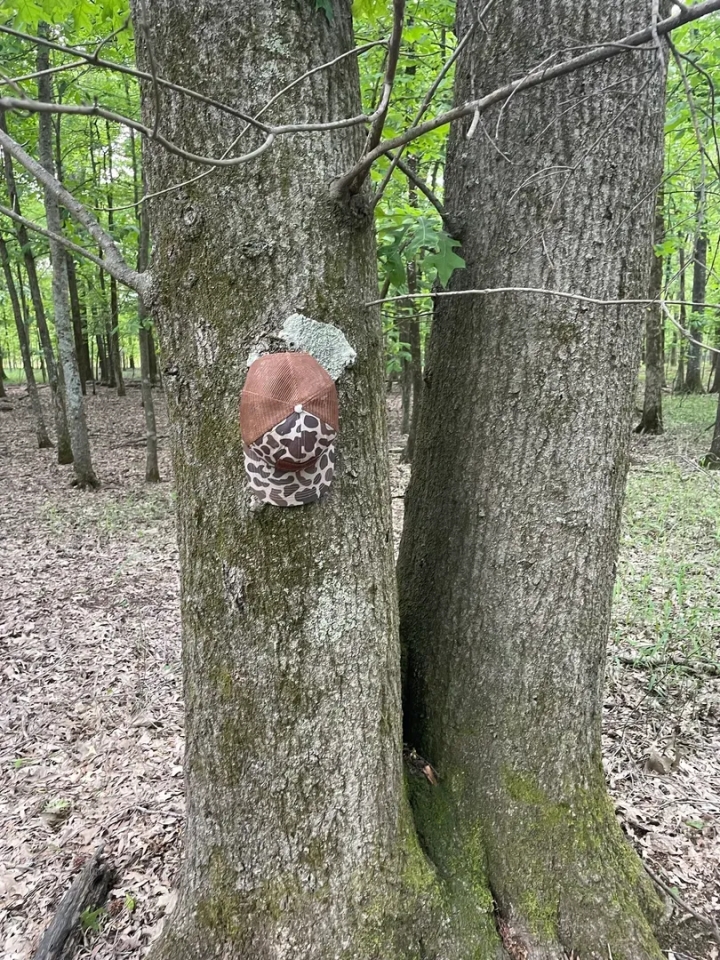 90.2 Acres in Quitman County MS Hunting Land for Sale