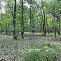 90.2 Acres in Quitman County MS images 3