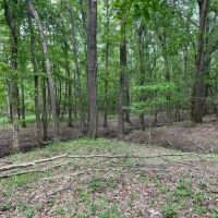 90.2 Acres in Quitman County MS images 4