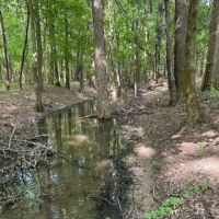 90.2 Acres in Quitman County MS images 5