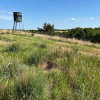 Wellfleet CRP Quarter