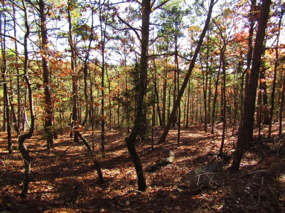 Kiamichi Wilderness Shorty Creek 5ac featured image