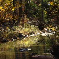 Kiamichi Wilderness Shorty Creek 5ac images 2