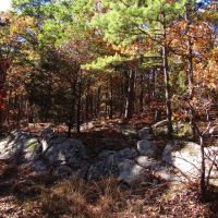 Kiamichi Wilderness Shorty Creek 5ac images 4