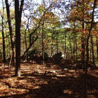 Kiamichi Wilderness Shorty Creek 5ac images 5