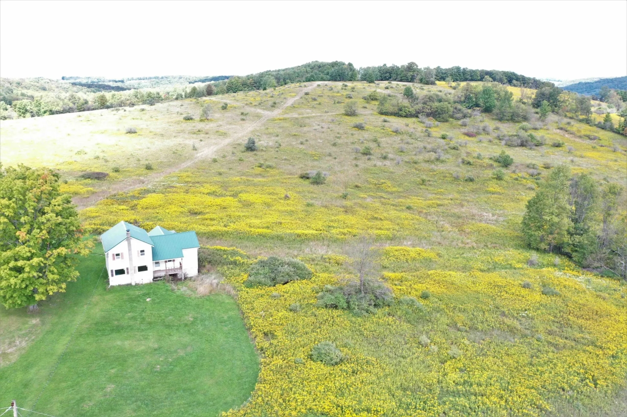 85 acres House with Open Meadows and Woodlands in Rexville NY 1163 Irish Hill Road Hunting