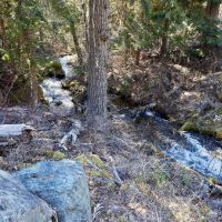 Swan Lake Overlook images 5