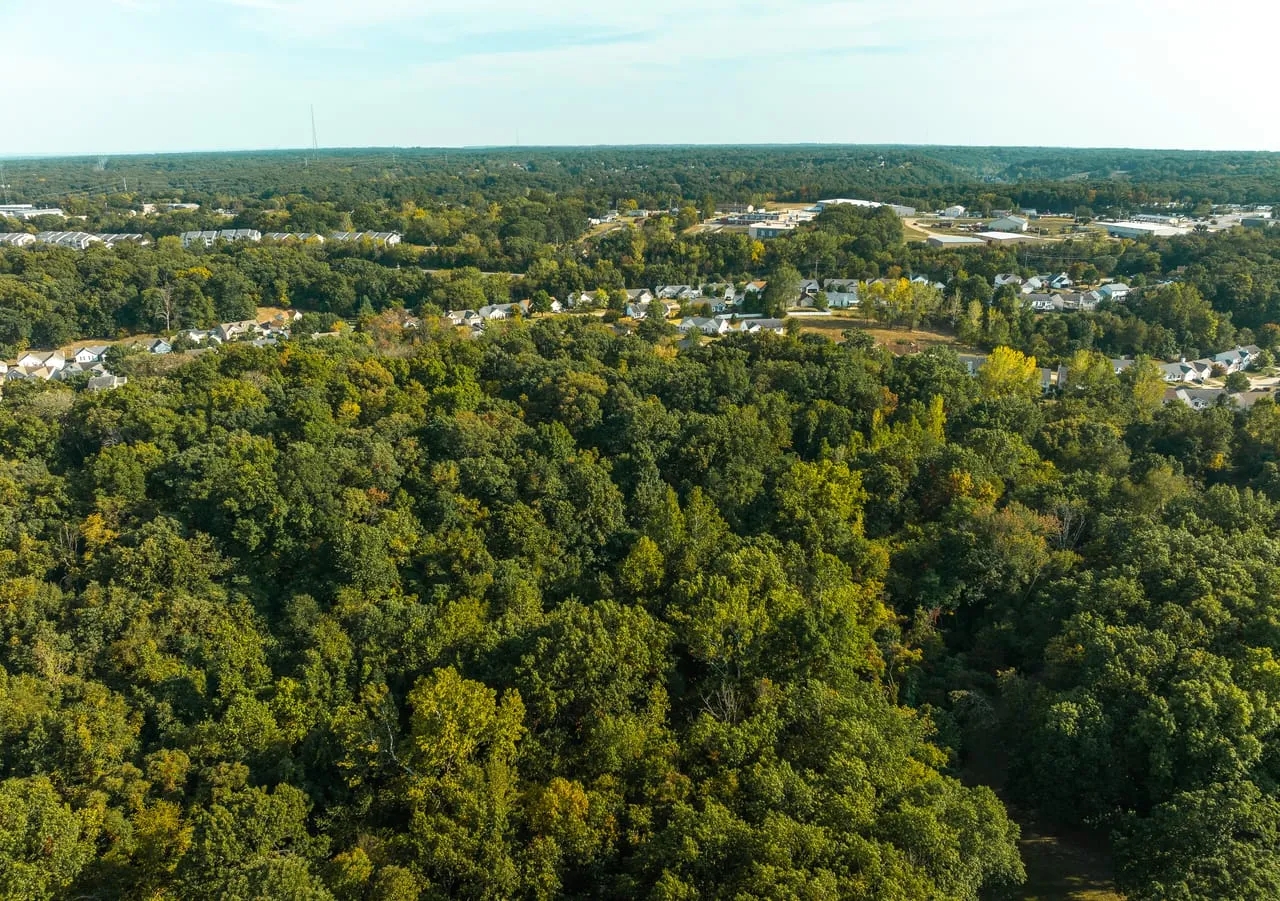 Mikel Lane 14 Hunting Land for Sale