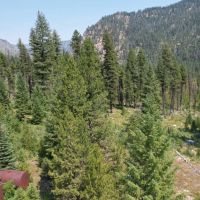 Johnson Creek Acres images 5