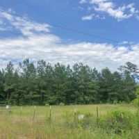388 Acres Lost Indian Camp Road Tract 5302 images 3