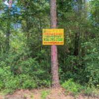 388 Acres Lost Indian Camp Road Tract 5302 images 4