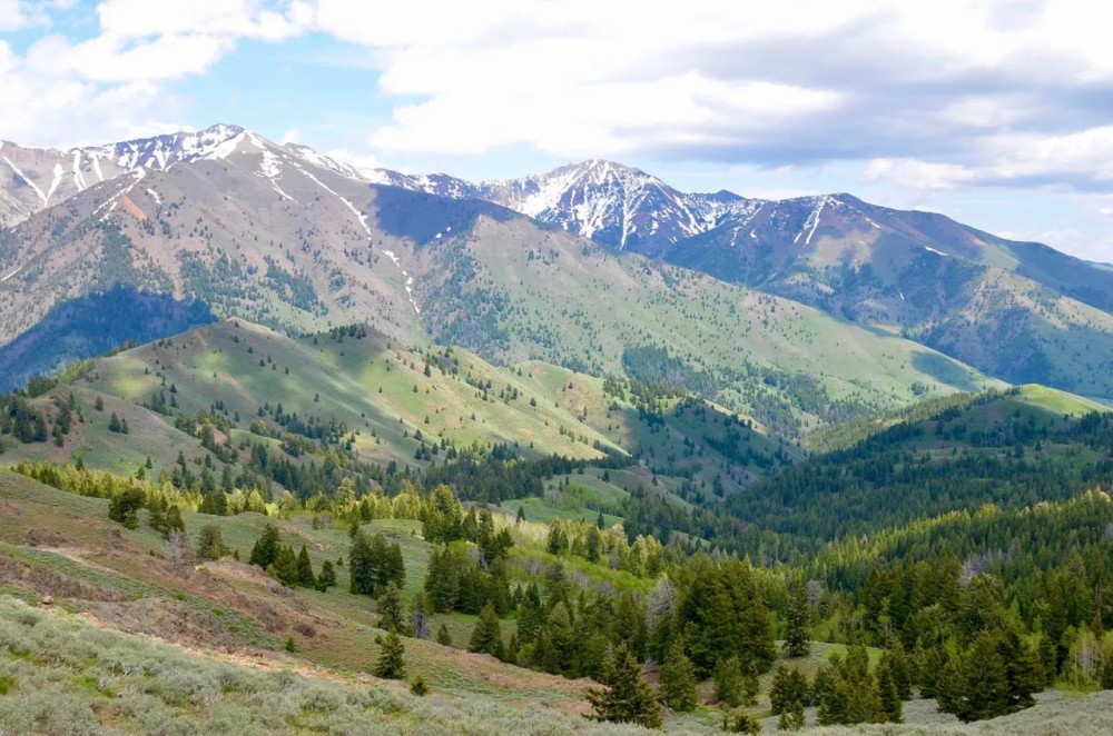 Lava Lake Ranch featured image