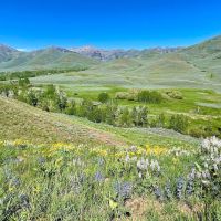 Lava Lake Ranch images 4