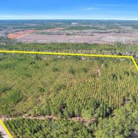 75 Acres - Dewey Road in Brantley GA images 2